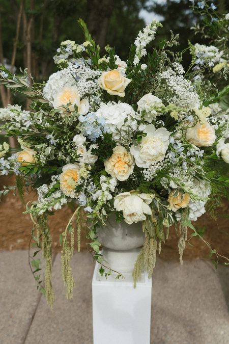 An arrangement of cream roses and trailing greenery on a white plinth.