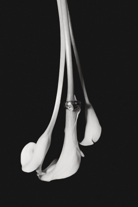 The wedding bands resting among white calla lilies, in black and white.