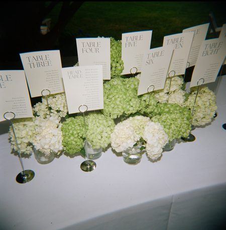 Table cards arranged among white and green hydrangeas.