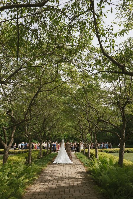 Stephanie walking the long tree-lined aisle as guests look on.